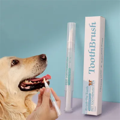 FurryFusion Stylo à brosse à dents pour animal de compagnie