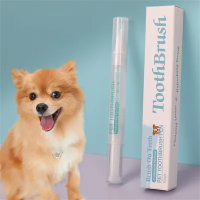 FurryFusion Stylo à brosse à dents pour animal de compagnie