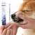FurryFusion Stylo pour nettoyer les dents des chats et des chiens
