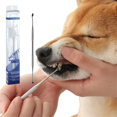 FurryFusion Stylo pour nettoyer les dents des chats et des chiens