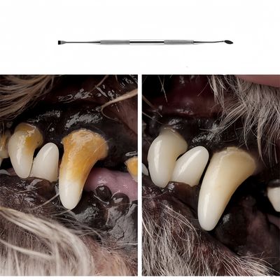 FurryFusion Bolígrafo para limpiar los dientes de gatos y perros