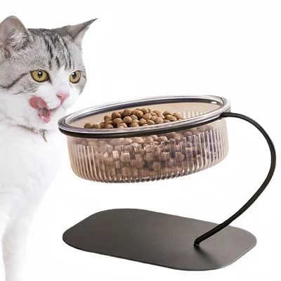 FurryFusion Gamelle surélevée pour chat