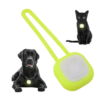 FurryFusion Pendentif lumineux pour collier de chien