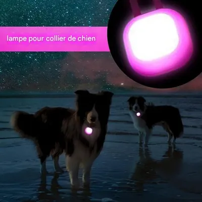FurryFusion Pendentif lumineux pour collier de chien