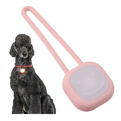 FurryFusion Pendentif lumineux pour collier de chien