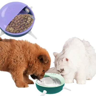 FurryFusion Biberons pour chats et chiens