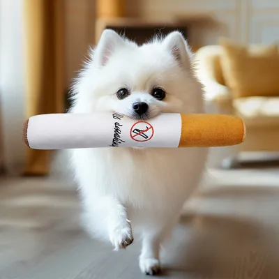 FurryFusion Jouet en peluche en forme de cigarette pour chien