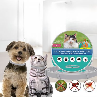 FurryFusion Flohhalsband für Katzen