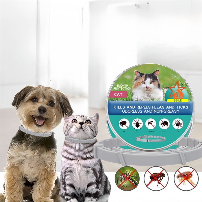 FurryFusion - Collier Antipuce pour Chats