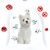 FurryFusion - Collier Antipuce pour Chats