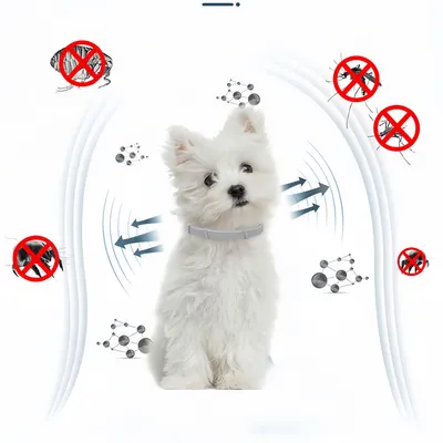 FurryFusion - Collier Antipuce pour Chats