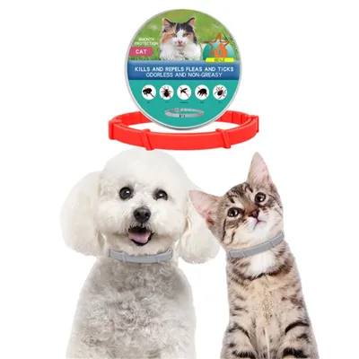 FurryFusion - Collier Antipuce pour Chats