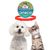 FurryFusion - Collier Antipuce pour Chats