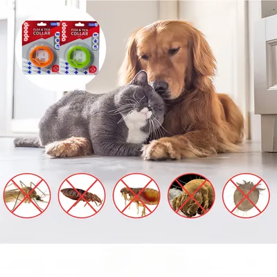 FurryFusion - Collier Antipuce et Anti-moustiques chats 33cm