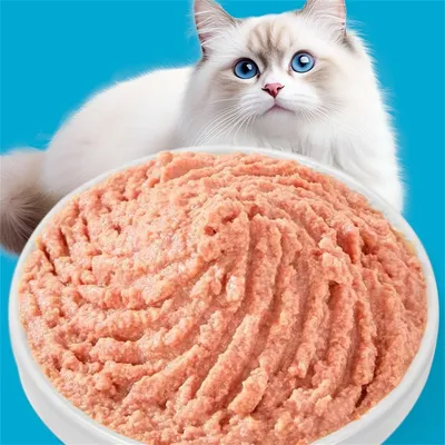 FurryFusion Paquete de 5 raciones de comida húmeda para gatos de 60 g cada