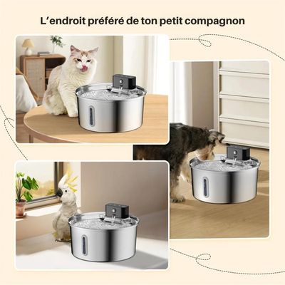 Fontaine à eau en acier inoxydable 3,2L - Pour chats & chiens - Weomg