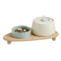 Fontaine à eau et mangeoire en céramique pour chat