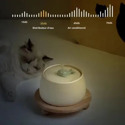 Fontaine à eau et mangeoire en céramique pour chat