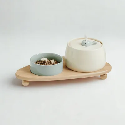 Fontaine à eau et mangeoire en céramique pour chat