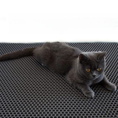 IntiMeg Tapis de maison de toilette pour chat