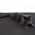 IntiMeg Tapis de litière pour chat