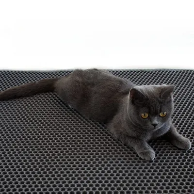 IntiMeg Tapis de maison de toilette pour chat