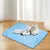 UAMLY Matelas de couchage rafraîchissant en soie glacée pour chat