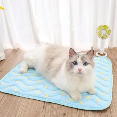 UAMLY Tapis rafraîchissant pour chat