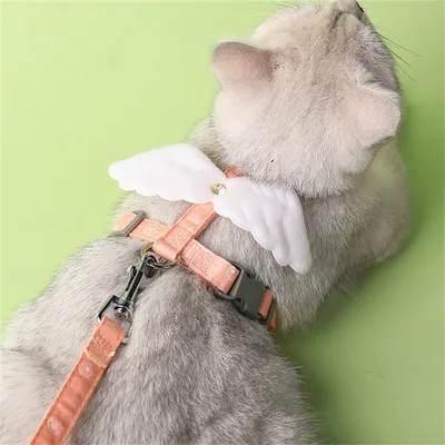 IntiMeg Harnais pour chat