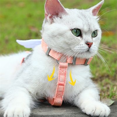 IntiMeg Arnés para gatos