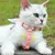 IntiMeg Harnais pour chat