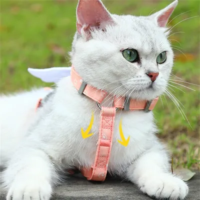 IntiMeg Harnais pour chat