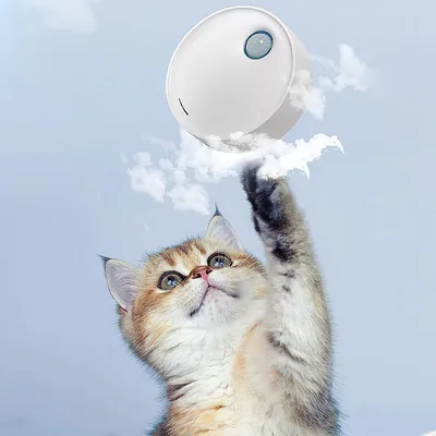 UAMLY Désodorisant pour litière pour chat