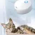 UAMLY Désodorisant pour litière pour chat