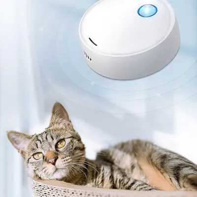 UAMLY Désodorisant pour litière pour chat
