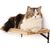 UAMLY Étagère Murale Flottante avec Tapis Griffoir pour Chat