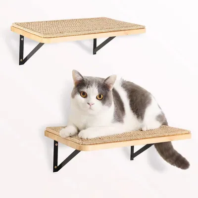 UAMLY Étagère Murale Flottante avec Tapis Griffoir pour Chat