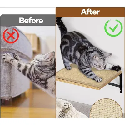 UAMLY Étagère Murale Flottante avec Tapis Griffoir pour Chat