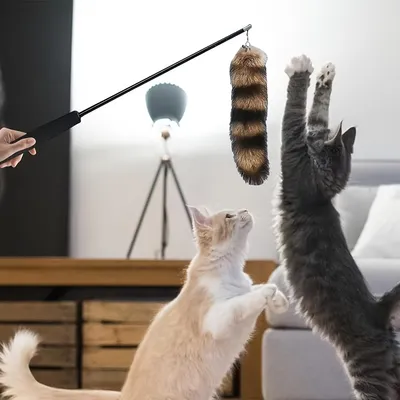 UAMLY Baguette rétractable pour chat danseur avec queue de renard