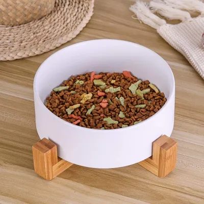 IntiMeg Bol de Nourriture et d'Eau pour Chien