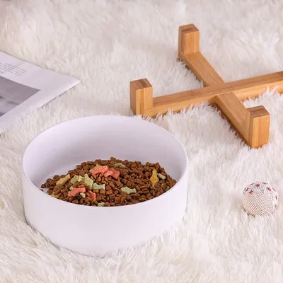 IntiMeg Bol de Nourriture et d'Eau pour Chien