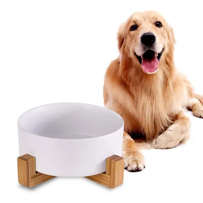 IntiMeg Bol de Nourriture et d'Eau pour Chien