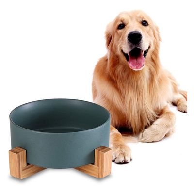 IntiMeg Bol de Nourriture et d'Eau pour Chien