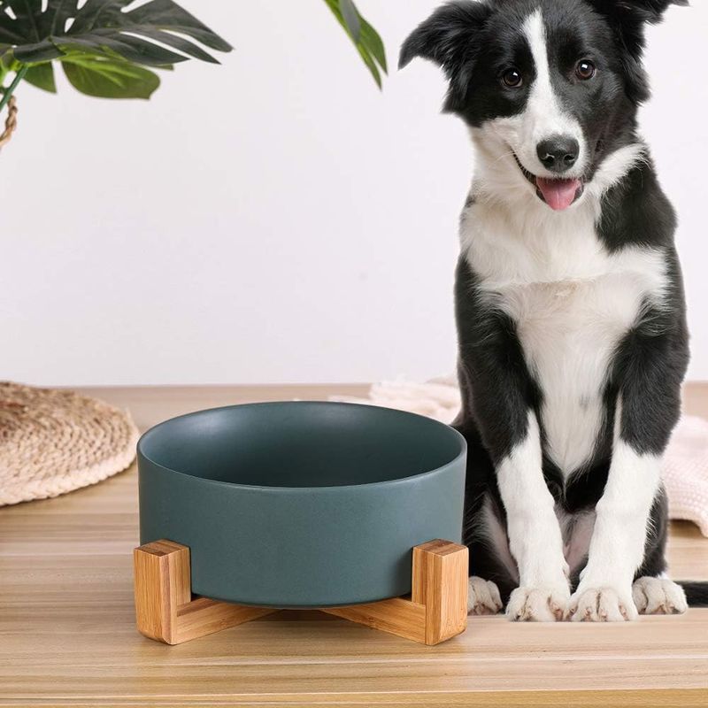 IntiMeg Bol de Nourriture et d'Eau pour Chien