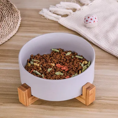 IntiMeg Bol de Nourriture et d'Eau pour Chien