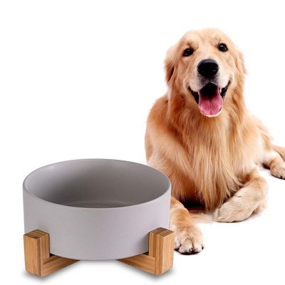 IntiMeg Bol de Nourriture et d'Eau pour Chien