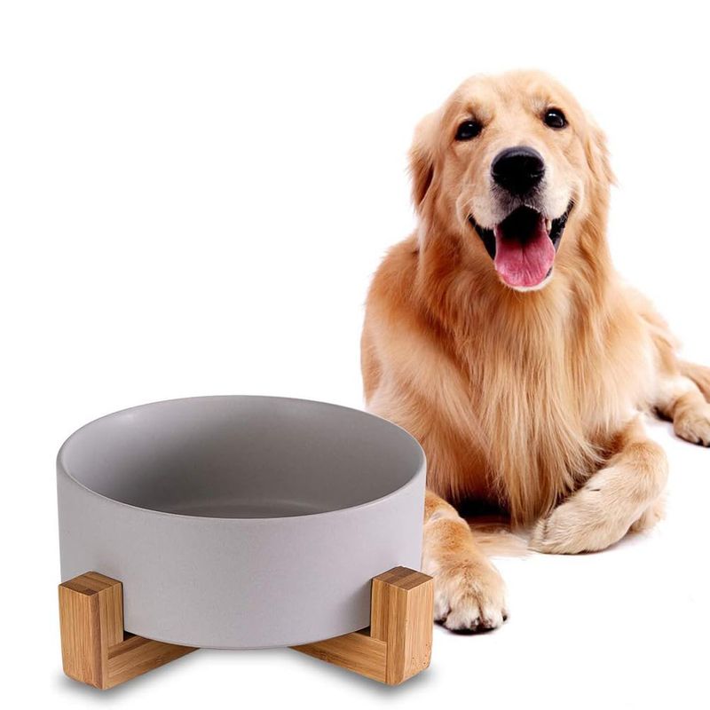 IntiMeg Bol de Nourriture et d'Eau pour Chien
