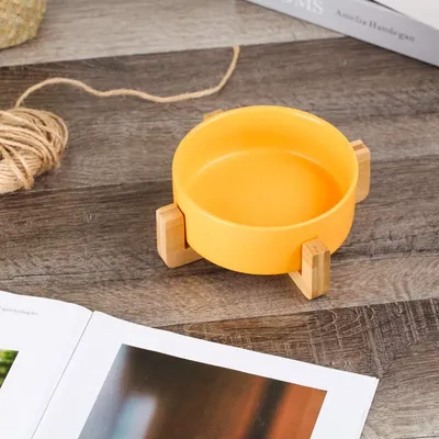 IntiMeg Bol de Nourriture et d'Eau pour Chien