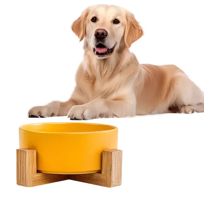 IntiMeg Bol de Nourriture et d'Eau pour Chien