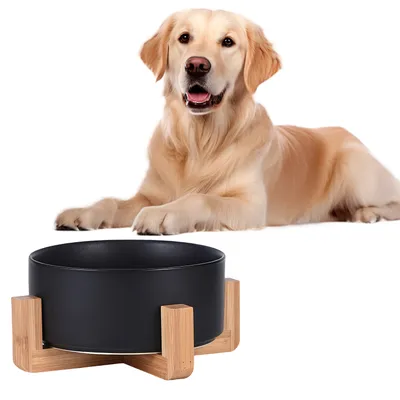 IntiMeg Bol de Nourriture et d'Eau pour Chien